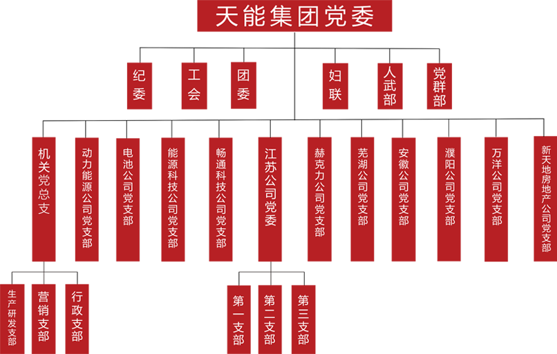 和记体育建团党委组织架构